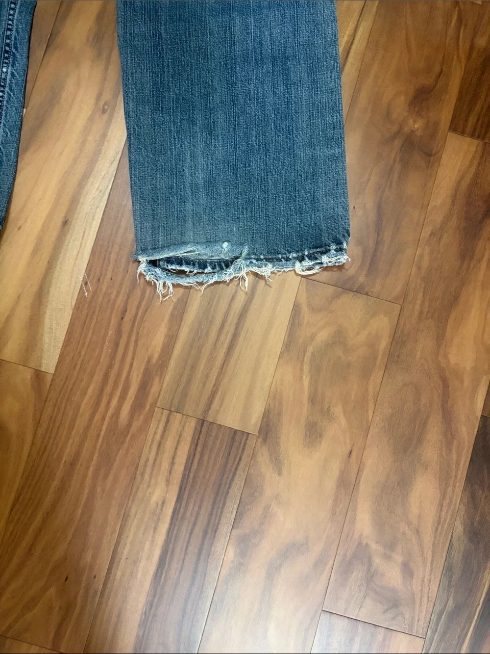 Levis authentic levi